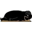 Yoga Pug 13