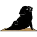 Yoga Pug 21