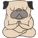 Yoga Pug 27