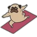 Yoga Pug 29