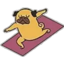 Yoga Pug 14