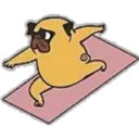 Yoga Pug 11