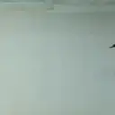 ● Pingu 2 Mov. ● 23
