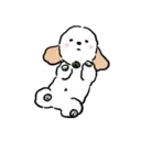 DOG CUTE 5