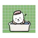 DOG CUTE 10