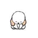 DOG CUTE 8