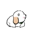 DOG CUTE 21