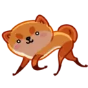 Donut the dog 24