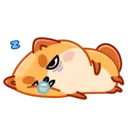 Donut the dog 10