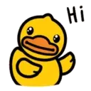 DUCK mov. 8
