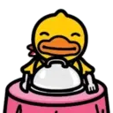DUCK mov. 12