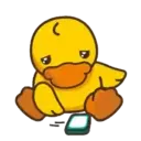 B.Duck, Mov 22