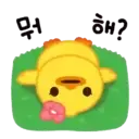 B.Duck, Mov 25