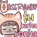 Gatita Linda  (Melissa) 1