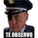 TE OBSERVO