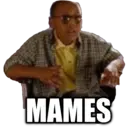 MAMES