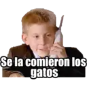 Se la comieron los
gatos