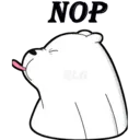 NOP
기
RLG