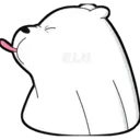 DTH
기