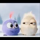 》MIRADITAS《 15