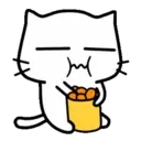 ️White cat 2 Mov 19