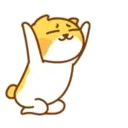 Lovely Cat. MOV 10