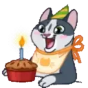 MEMES CATS.MOV 8