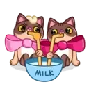 Cat Valentine 16