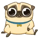 PENNY Pug 20