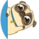 PENNY Pug 14