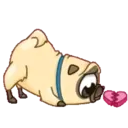 PENNY Pug 10