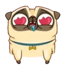 PENNY Pug 13