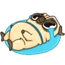 PENNY Pug 7