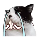 ️FaceCat 24