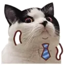 ️FaceCat 8