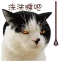 ️FaceCat 6