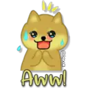 Perro SHIBA INU 17