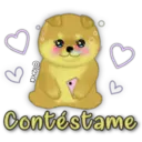 Perro SHIBA INU 8