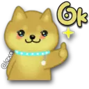Perro SHIBA INU 29