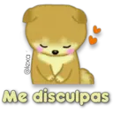 Perro SHIBA INU 22