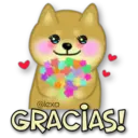 Perro SHIBA INU 13