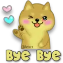Perro SHIBA INU 11