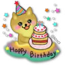 Perro SHIBA INU 30