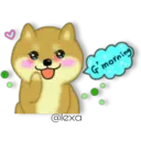 Perro SHIBA INU 26