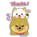 Perro SHIBA INU 23