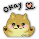 Perro SHIBA INU 9