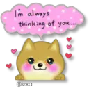 Perro SHIBA INU 3