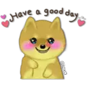 Perro SHIBA INU 19