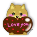 Perro SHIBA INU 7
