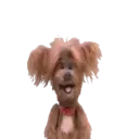 ️Hacker T dog and Dodge MOV 20